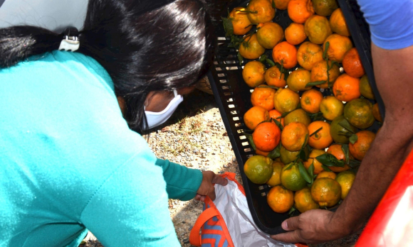 CUFA e Banco de Alimentos em Sorocaba realizam doação de kit de beleza e higiene